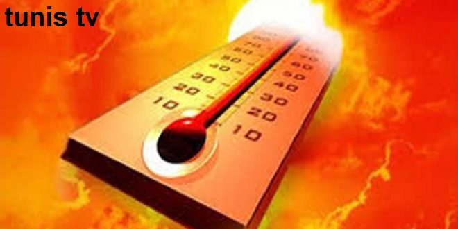موجة حر تضرب تونس خلال هذه الفترة… درجات الحرارة قد تصل إلى47°