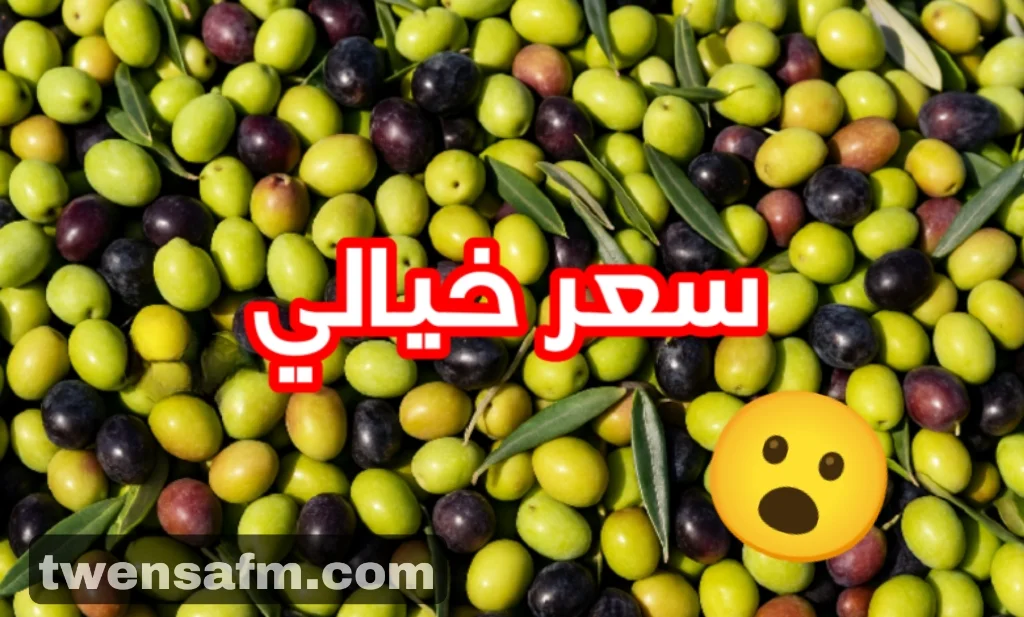 مفاجأة: سعر خيالي لزيت الزيتون هذا الموسم